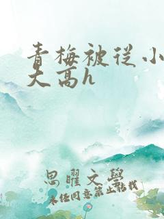 青梅被从小玩到大高h