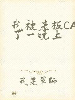 我被老板CAO了一晚上