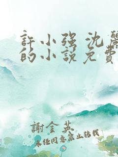 许小强 沈丽娟的小说免费阅读