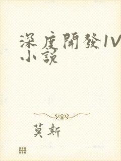 深度开发1V3小说