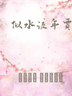 似水流年贾二虎