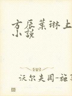 方辰叶琳上官步小说