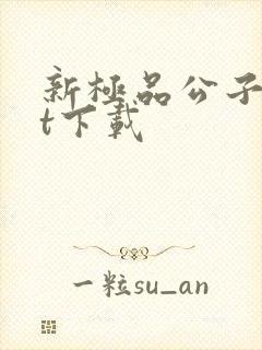 新极品公子txt下载