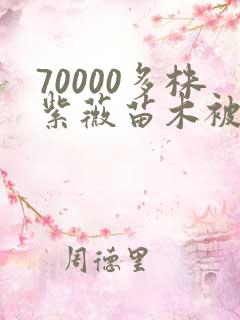 70000多株紫薇苗木被强毁