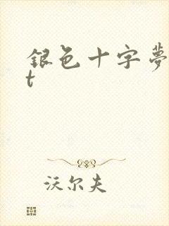 银色十字梦txt