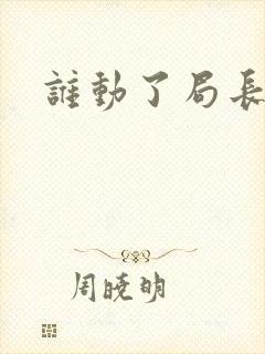 谁动了局长夫人