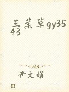 三叶草gy3543