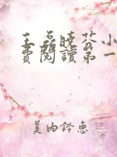 王磊晓芬小说免费阅读第一章