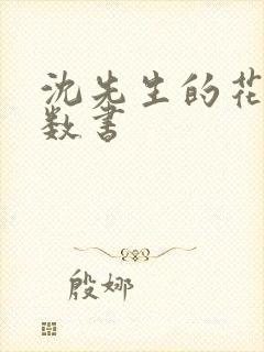 沈先生的花式调数书