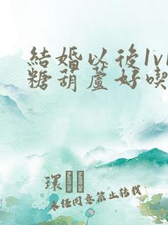 结婚以后1v1糖葫芦好吃epub