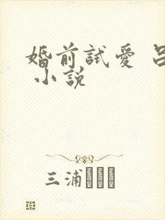 婚前试爱 吕颜 小说