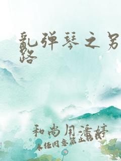 乱弹琴之另一条路