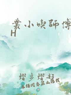 丛小吃师傅的HH