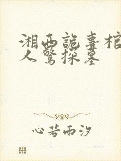 湘西诡事棺山道人惊探墓