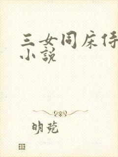 三女同床侍一夫小说