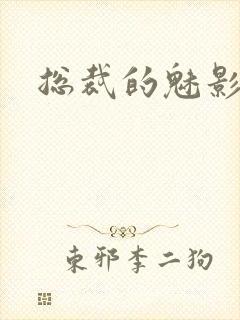 总裁的魅影情人