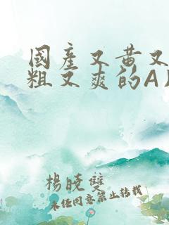 国产又黄又猛又粗又爽的A片小说