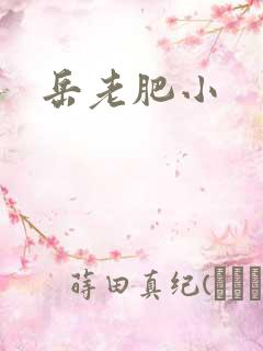 岳老肥小