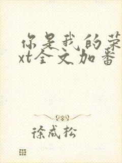 你是我的荣耀txt全文加番外