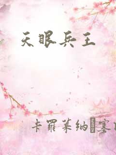 天眼兵王