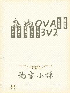 熟肉OVAちゃんはしたい3V2