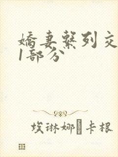 娇妻系列交换11部分