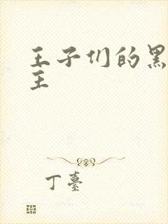 王子们的黑道公主