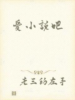 爱小说吧