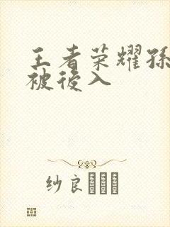 王者荣耀孙尚香被后入