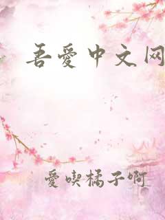 吾爱中文网