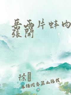 岳两片蚌肉缓缓张开