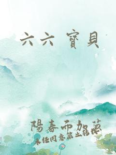 六六 宝贝