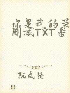你是我的荣耀未删减TXT番外