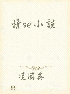 情se小说