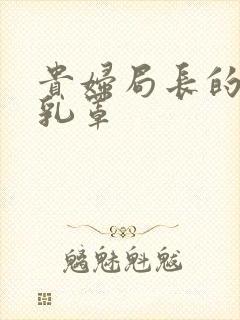 贵妇局长的蕾丝乳罩