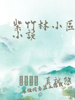 紫竹林小区快递小说