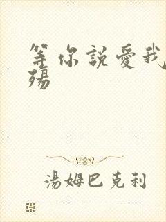 等你说爱我之云殇