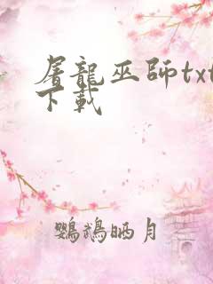 屠龙巫师txt下载