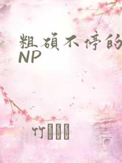 粗硕不停的进出NP
