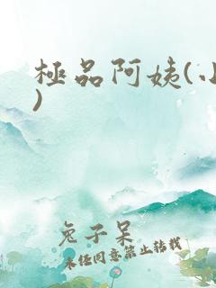 极品阿姨(小说)