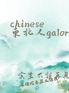 chinese东北人galore