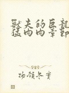 兽夫的巨龙太凶猛肉肉章节