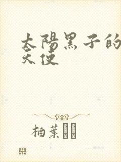 太阳黑子的折翼天使