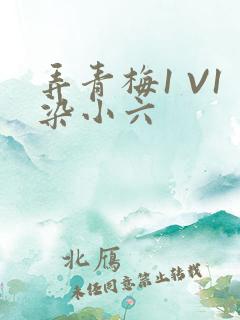 弄青梅1 V1染小六