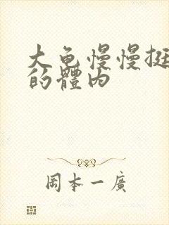 大龟慢慢挺进我的体内