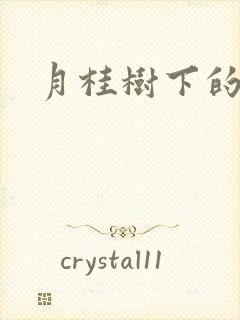 月桂树下的王子