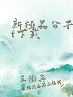 新极品公子txt下载