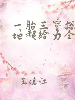 一胎三宝总裁爹地超给力全文免费阅读