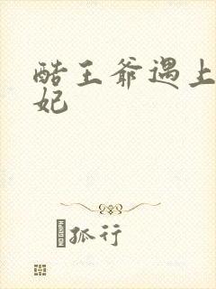 酷王爷遇上穿越妃