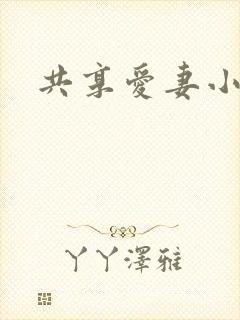 共享爱妻小说